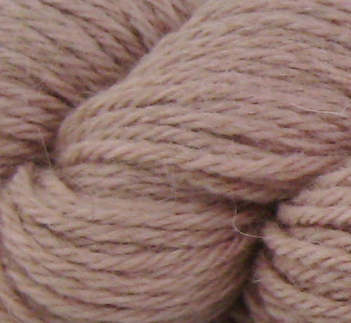 Pascuali - Sayama - Rose