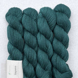 Pascuali - Sayama - Teal