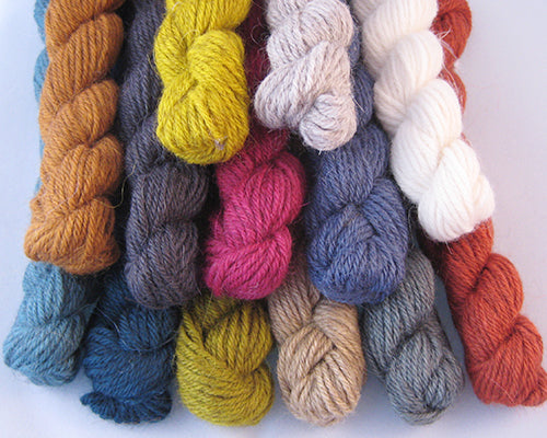 The Fibre Company - Cumbria Fingering - Mini Skeins